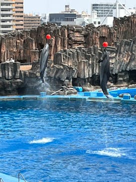 名古屋港水族館に投稿された画像（2022/8/15）