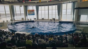 アクアワールド茨城県大洗水族館に投稿された画像（2022/8/15）