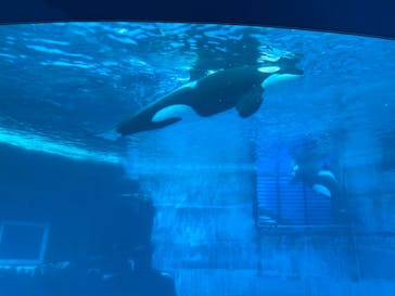 名古屋港水族館に投稿された画像（2022/8/15）