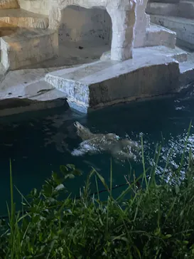 天王寺動物園に投稿された画像（2022/8/15）