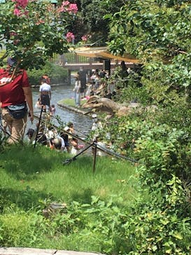 安城産業文化公園デンパークに投稿された画像（2022/8/15）