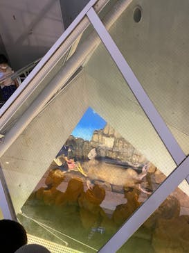 城崎マリンワールドに投稿された画像（2022/8/15）