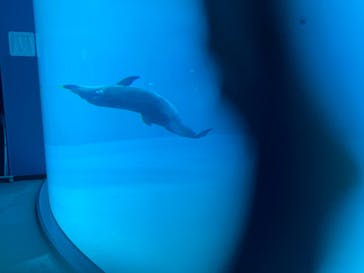 名古屋港水族館に投稿された画像（2022/8/15）