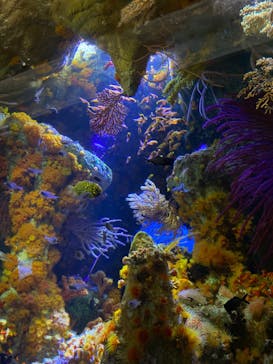 サンシャイン水族館に投稿された画像（2022/8/15）