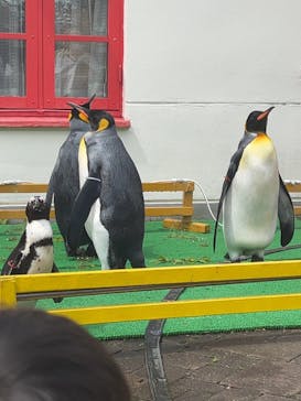 登別マリンパークニクスに投稿された画像（2022/8/15）