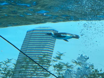 サンシャイン水族館に投稿された画像（2022/8/15）