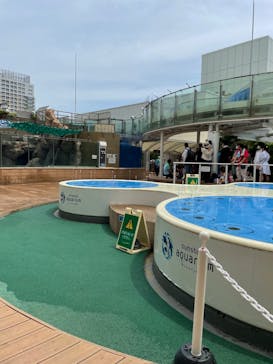 サンシャイン水族館に投稿された画像（2022/8/15）