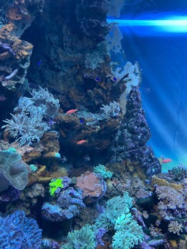 サンシャイン水族館に投稿された画像（2022/8/15）