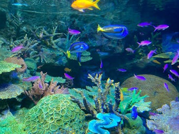 サンシャイン水族館に投稿された画像（2022/8/15）