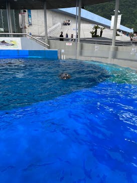 大分マリーンパレス水族館 「うみたまご」に投稿された画像（2022/8/15）