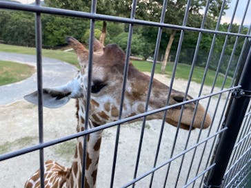 姫路セントラルパークに投稿された画像（2022/8/14）