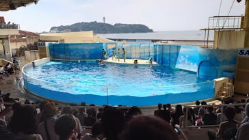 新江ノ島水族館に投稿された画像（2022/8/15）