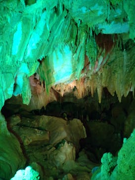 あぶくま洞に投稿された画像（2022/8/15）