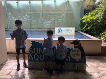 サンシャイン水族館に投稿された画像（2022/8/15）