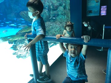 サンシャイン水族館に投稿された画像（2022/8/15）