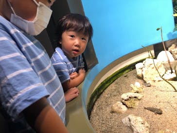 サンシャイン水族館に投稿された画像（2022/8/15）