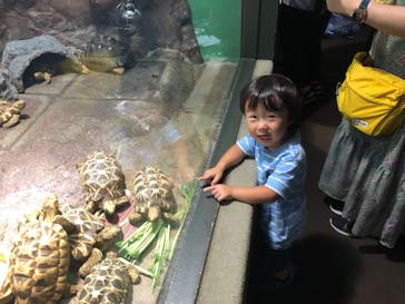 サンシャイン水族館に投稿された画像（2022/8/15）