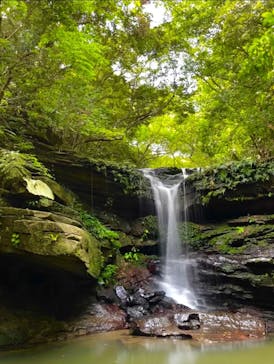 西表島 ADVENTURE PiPi（アドベンチャーピピ）に投稿された画像（2022/8/15）