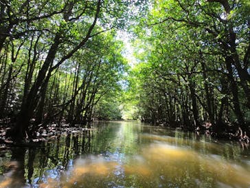 西表島 ADVENTURE PiPi（アドベンチャーピピ）に投稿された画像（2022/8/15）