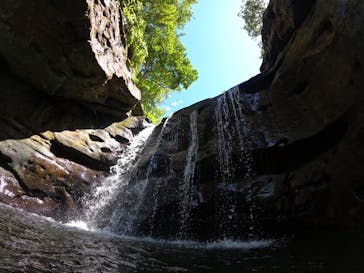 西表島 ADVENTURE PiPi（アドベンチャーピピ）に投稿された画像（2022/8/15）