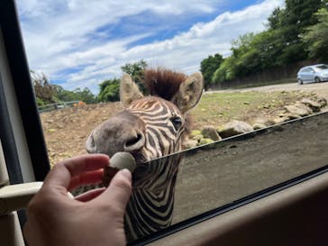 那須サファリパークに投稿された画像（2022/8/15）