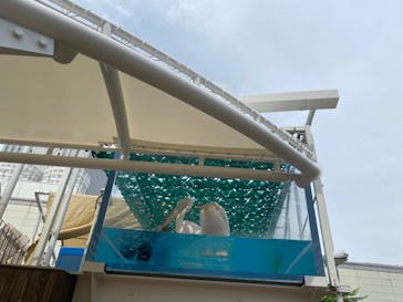 サンシャイン水族館に投稿された画像（2022/8/15）