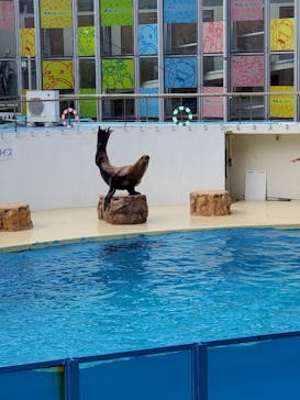 伊豆・三津シーパラダイスに投稿された画像（2022/8/14）