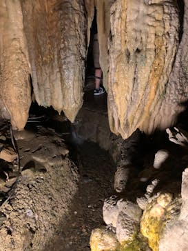 あぶくま洞に投稿された画像（2022/8/15）