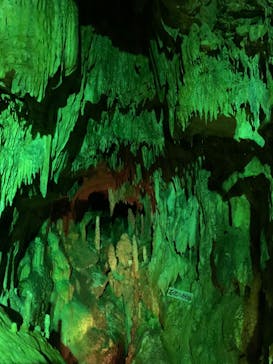 あぶくま洞に投稿された画像（2022/8/15）