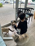 Moff animal cafe iias つくば店に投稿された画像（2022/8/15）