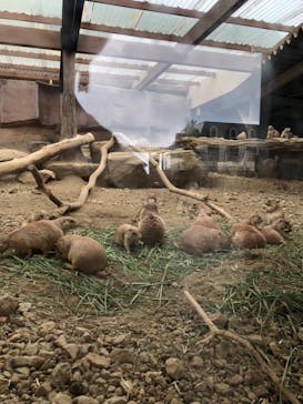 那須どうぶつ王国に投稿された画像（2022/8/15）