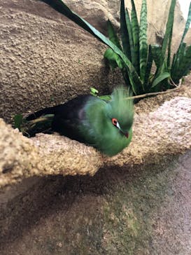 那須どうぶつ王国に投稿された画像（2022/8/15）