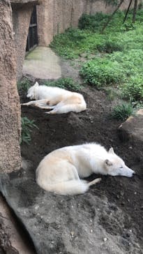 那須どうぶつ王国に投稿された画像（2022/8/15）