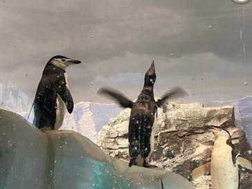 名古屋港水族館に投稿された画像（2022/8/15）