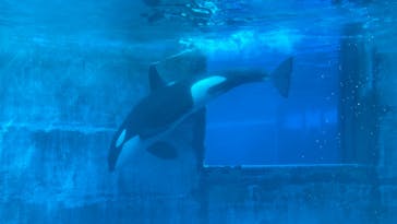 名古屋港水族館に投稿された画像（2022/8/15）