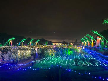 せんだい農業園芸センター　みどりの杜に投稿された画像（2022/8/15）