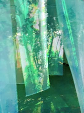 体感するファーブル昆虫展 NAGOYAに投稿された画像（2022/8/15）