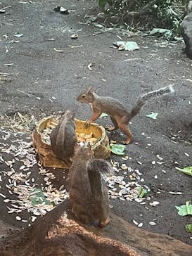 那須どうぶつ王国に投稿された画像（2022/8/11）