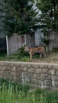 天王寺動物園に投稿された画像（2022/8/15）
