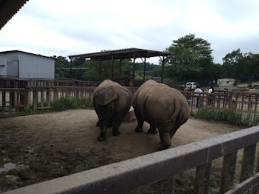 那須サファリパークに投稿された画像（2022/8/15）