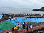 伊豆海洋公園磯プールに投稿された画像（2022/8/15）