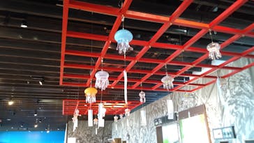 京都水族館に投稿された画像（2022/8/15）