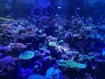 名古屋港水族館に投稿された画像（2022/8/15）