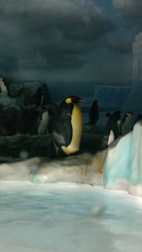 名古屋港水族館に投稿された画像（2022/8/15）