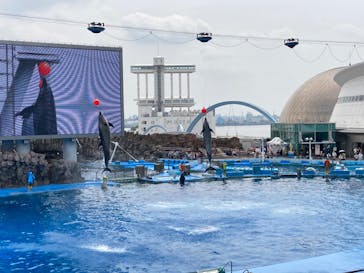 名古屋港水族館に投稿された画像（2022/8/15）