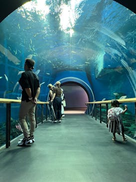 滋賀県立琵琶湖博物館に投稿された画像（2022/8/15）