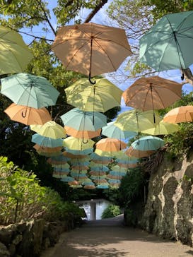 ニューヨークランプミュージアム＆フラワーガーデンに投稿された画像（2022/8/15）