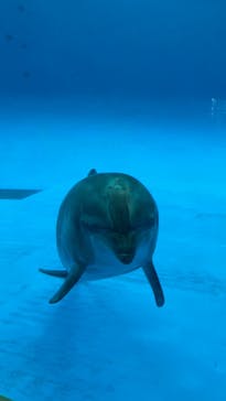 アクアワールド茨城県大洗水族館に投稿された画像（2022/8/15）