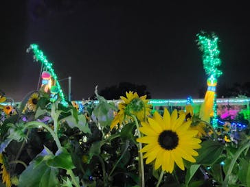 せんだい農業園芸センター　みどりの杜に投稿された画像（2022/8/15）