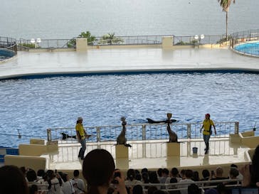マリンワールド海の中道に投稿された画像（2022/8/15）